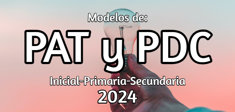 Plan Anual Trimestralizado PAT 2024
